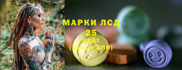 ПСИЛОЦИБИНОВЫЕ ГРИБЫ Вязьма