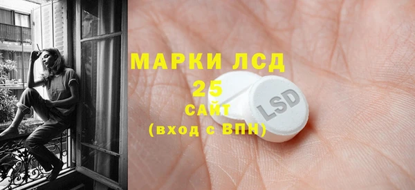 ПСИЛОЦИБИНОВЫЕ ГРИБЫ Вязьма
