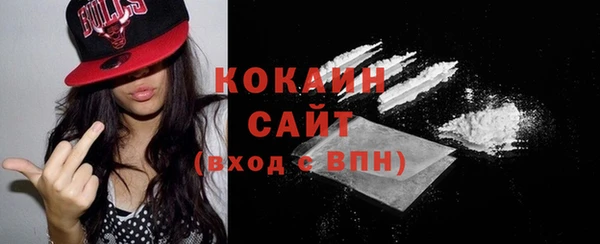 крисы Вязники