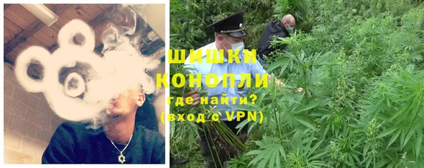 ПСИЛОЦИБИНОВЫЕ ГРИБЫ Вязьма