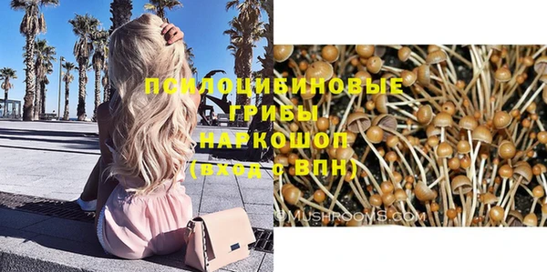 ПСИЛОЦИБИНОВЫЕ ГРИБЫ Вязьма