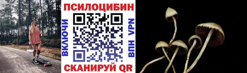 Псилоцибиновые грибы мухоморы  Можайск 