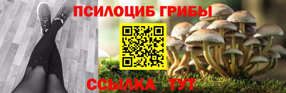 Псилоцибиновые грибы мицелий  Галлюциногенные грибы Magic Shrooms  Вход с VPN  Можайск 